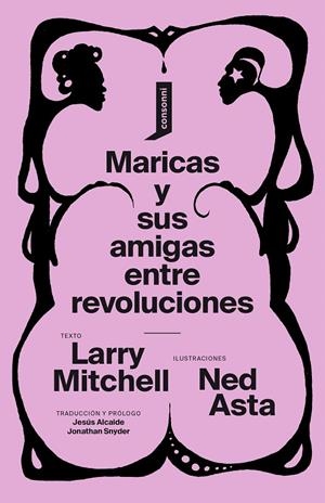 MARICAS Y SUS AMIGAS ENTRE REVOLUCIONES | 9788416205769 | ASTA / MITCHELL