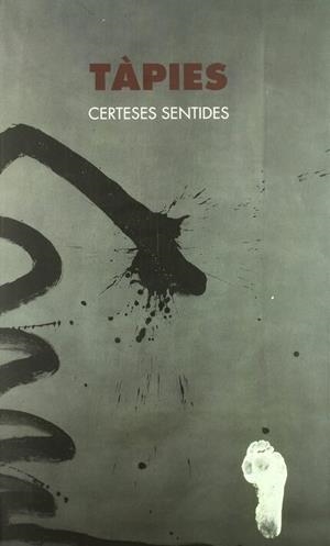 TÀPIES. CERTESES SENTIDES | 9788437057965 | VARIOS AUTORES