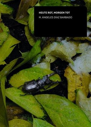 HEUTE ROT, MORGEN TOT | 9788433862396 | DÍAZ BARBADO, MARÍA ÁNGELES