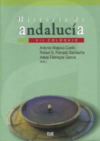 HISTORIA DE ANDALUCÍA. VII COLOQUIO | 9788433850683 | MALPICA CUELLO, A. / PEINADO SANTAELLA, R. G. / FÁBREGAS GARCÍA, A.