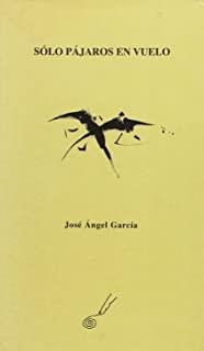 SOLO PAJAROS EN VUELO | 9788495963185 | GARCIA, JOSE ANGEL