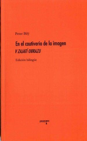 EN EL CAUTIVERIO DE LA IMAGEN | 9788415398424 | BILÍ, PETER