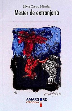 MESTER DE EXTRANJERIA | 9788416149872 | CASTRO MENDEZ, SILVIA