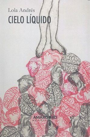 CIELO LIQUIDO | 9788494486319 | ANDRES, LOLA