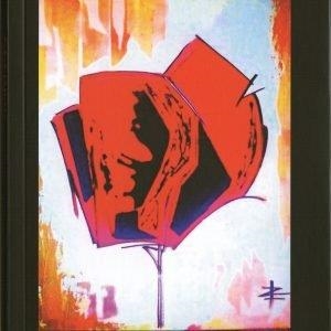 AMAPOLAS | 9788494748790 | ORION, SILVI