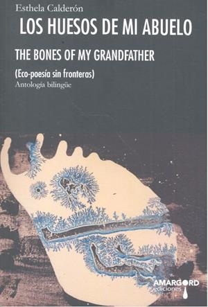 HUESOS DE MI ABUELO | 9788494837739 | CALDERON, ESTHELA
