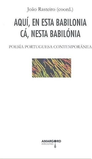 AQUI EN ESTA BABILONIA CA NESTA BABILONIA | 9788494941139 | RASTEIRO, JOAÑO