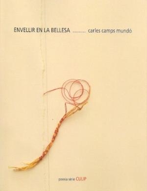 ENVELLIR EN LA BELLESA | 9788481289824 | CAMPS MUNDÓ, CARLES