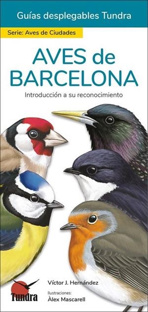 AVES DE BARCELONA | 9788418458439 | HERNANDEZ VICTOR