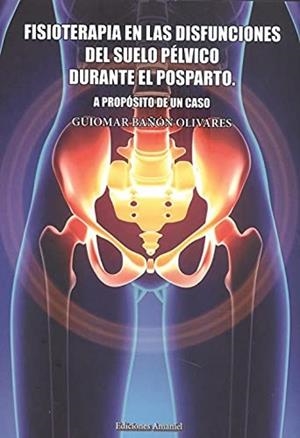 FISIOTERAPIA EN LAS DISFUNCIONES DEL SUELO PÉLVICO DURANTE EL POSTPARTO | 9788412161342 | BAÑÓN OLIVARES, GUIOMAR
