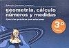 APRENDER Y REPASAR, GEOMETRIA, CALCULO, NUMEROS Y MEDIDAS, 3 | 9788498961225