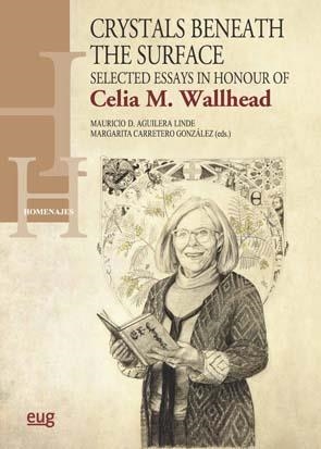 CRYSTALS BENEATH THE SURFACE | 9788433864253 | VARIOS AUTORES