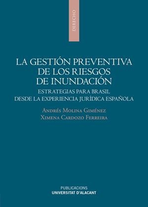 GESTIÓN PREVENTIVA DE LOS RIESGOS DE INUNDACIÓN, LA | 9788497177443 | CARDOZO FERREIRA, XIMENA / MOLINA GIMÉNEZ, ANDRÉS