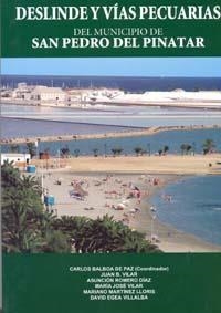 DESLINDE Y VÍAS PECUARIAS DEL MUNICIPIO DE SAN PEDRO DEL PINATAR | 9788483716649 | VILAR RAMIREZ, JUAN BAUTISTA