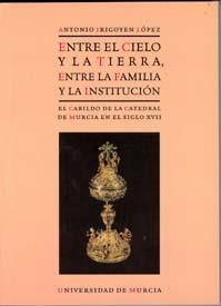 ENTRE EL CIELO Y LA TIERRA, ENTRE LA FAMILIA Y LA INSTITUCIÓN | 9788483712467 | IRIGOYEN LÓPEZ, ANTONIO