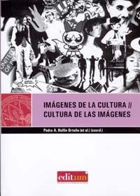 IMÁGENES DE LA CULTURA, CULTURA DE LAS IMÁGENES | 9788483716625 | HELLIN ORTUÑO, PEDRO