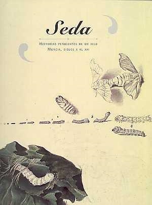 SEDA. HISTORIAS PENDIENTES DE UN HILO. MURCIA, SIGLOS X AL XXI | 9788416551842 | EIROA RODRÍGUEZ, JORGE ALEJANDRO