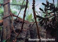 ARCHITECTURE/NATURE | 9788478007868 | TIMTSCHENKO, ALEXANDER