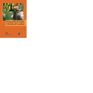 REFLEXIONES EN TORNO AL AZÚCAR, AGUA, TABACO Y PLÁTANO EN CANARIAS | 9788496502680 | VARIOS AUTORES