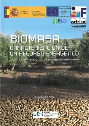 BIOMASA | 9788483179307 | BUENO DE LAS HERAS, JULIO L. / GUTIÉRREZ LAVÍN, ANTONIO / PIZARRO GARCÍA, CONSUELO / GARCÍA FERNÁNDE