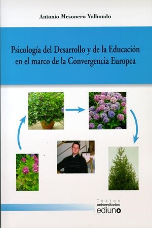 PSICOLOGÍA DEL DESARROLLO Y DE LA EDUCACIÓN EN EL MARCO DE LA CONVERGENCIA EUROPEA | 9788483177808 | MESONERO VALHONDO, ANTONIO
