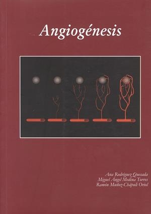 ANGIOGÉNESIS | 9788497470353 | RODRÍGUEZ QUESADA, ANA / MEDINA TORRES, MIGUEL ANGEL / MUÑOZ-CHÁPULI ORIOL, RAMÓN