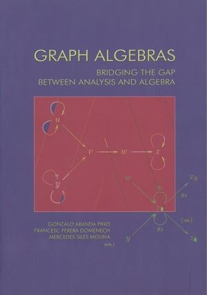 GRAPH ALGEBRAS | 9788497471770 | VARIOS AUTORES