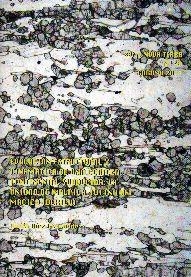 EVOLUCIÓN ESTRUCTURAL Y CINEMÁTICA DE UNA CORTEZA CONTINENTAL SUBDUCIDA: LA UNIDAD DE MALPICA TUI (NO DEL MAZICO IBÉRICO) | 9788497494304 | DÍEZ FERNÁNDEZ, RUBÉN