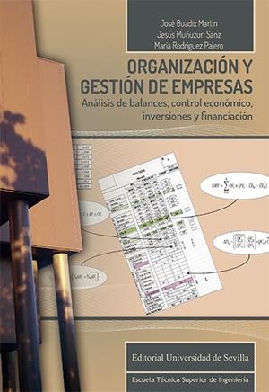 ORGANIZACIÓN Y GESTIÓN DE EMPRESAS | 9788447228270 | GUADIX MARTÍN, JOSÉ / MUÑUZURI SANZ, JESÚS / RODRÍGUEZ PALERO, MARÍA