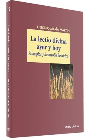 LECTIO DIVINA AYER HOY | 9788499453033 | MARTIN FERNANDEZ-GALLARDO, ANTONIO MARIA