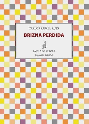 BRIZNA PERDIDA | 9788416210015 | RUTA, CARLOS