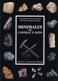 MINERALES DE CASTILLA Y LEON | 9788477628439 | VALLE GONZALEZ, ALEJANDRO DE / GONZALEZ CESTEROS, VALENTIN