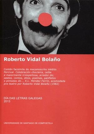 DÍA DAS LETRAS GALEGAS 2013. ROBERTO VIDAL BOLAÑO | 9788415876038