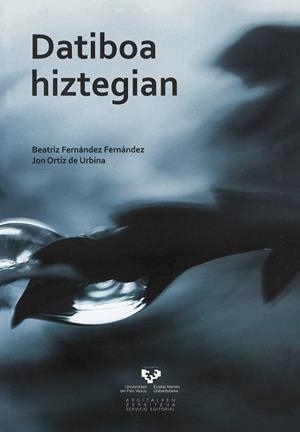 DATIBOA HIZTEGIAN | 9788498604337 | FERNÁNDEZ FERNÁNDEZ, BEATRIZ / ORTIZ DE URBINA ARRUABARRENA, JON