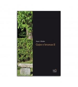 GAJOS Y BRUMAS II | 9788480538558 | RUBIO TEJERO, JUAN JOSÉ