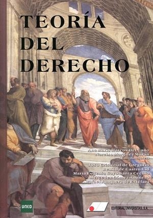 TEORÍA DEL DERECHO | 9788479914738