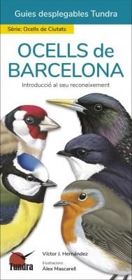 OCELLS DE BARCELONA. INTRODUCCIÓ AL SEU RECONEIXEMENT | 9788418458446 | HERNÁNDEZ, VÍCTOR J. / MASCARELL, ÀLEX