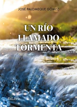 RIO LLAMADO TORMENTA, UN | 9788418912139 | PALOMEQUE GOMEZ, JOSÉ