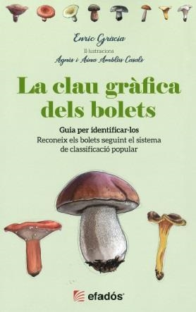 CLAU GRÀFICA DELS BOLETS, LA | 9788418243684