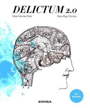 DELICTUM 2.0 | 9788431336431 | SANCHEZ-OSTIZ GUTIERREZ, PABLO