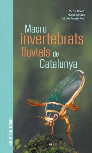 MACROINVERTEBRATS FLUVIALS DE CATALUNYA | 9788418096204 | OSORIO, VÍCTOR / PUIG GARCÍA, M. ÁNGELES / BONADA CAPARRÓS, NÚRIA