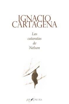 CATARATAS DE NELSON, LAS | 9788418536205 | CARTA, IGNACIO