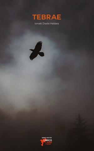TEBRAE | 9788412363531 | DIADIÉ HAÏDARA, ISMAËL