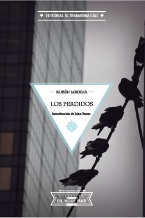PERDIDOS, LOS / THE LOST ONES | 9788412224375 | MEDINA, RUBÉN