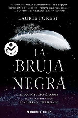 CRÓNICAS DE LA BRUJA 01, LAS. LA BRUJA NEGRA | 9788417821838 | FOREST, LAURIE