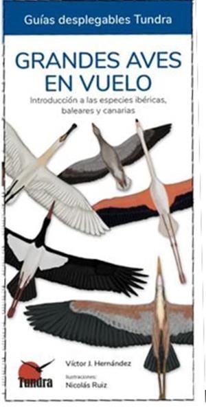 GRANDES AVES EN VUELO | 9788418458682 | HERNANDEZ, VICTOR J.