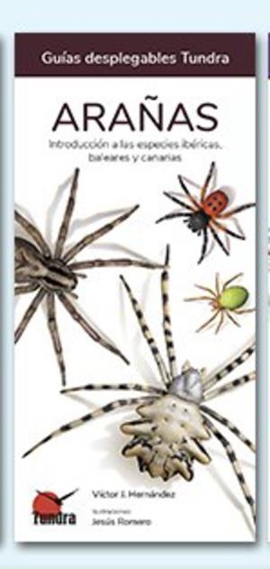 ARAÑAS | 9788418458590 | HERNANDEZ, VICTOR J.