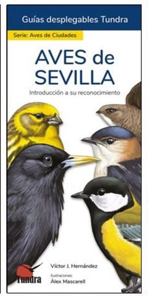 AVES DE SEVILLA | 9788418458651 | HERNANDEZ, VICTOR J.