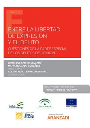 ENTRE LA LIBERTAD DE EXPRESIÓN Y EL DELITO | 9788413910482 | DE PABLO SERRANO, ALEJANDRO