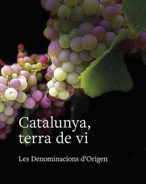 CATALUNYA, TERRA DE VI | 9788416445615 | TOLOSA, LLUÍS / SUCARRATS, JOSEP / FRANCÀS MARTORELL, RAMON / SANS I TRAVÉ, JOSEP MARIA